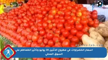 أسعار الخضراوات في مطروح الاثنين 28 يوليو وتأثير الطماطم على السوق المحلي